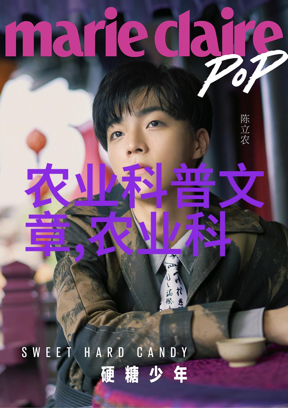 从镜子里看我是怎么cry you的情感表达隐喻交流深层次理解