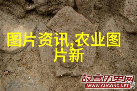 绿色生命的智慧牛蛙养殖技术深度解析