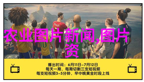 中国茶文化的传承与创新未来趋势分析