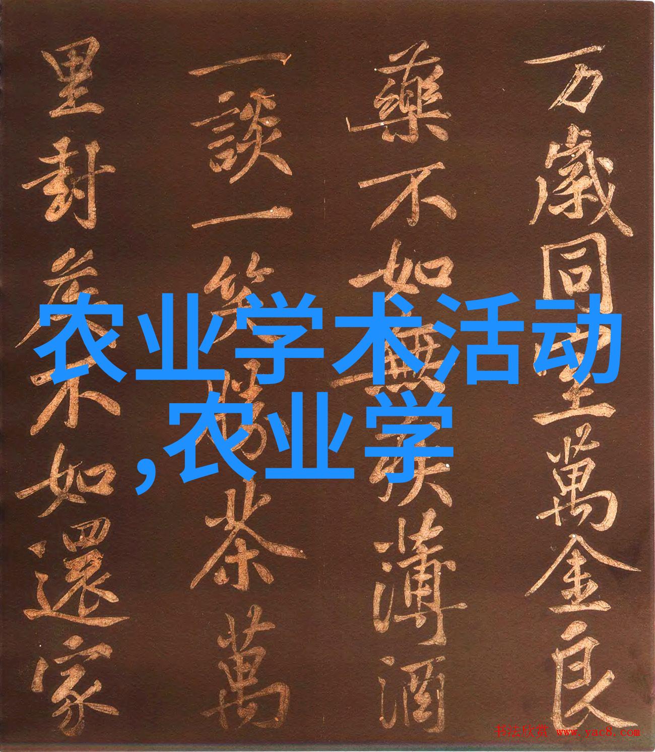 常见花卉种植方法大全我来教你怎么让自己的花园美美的