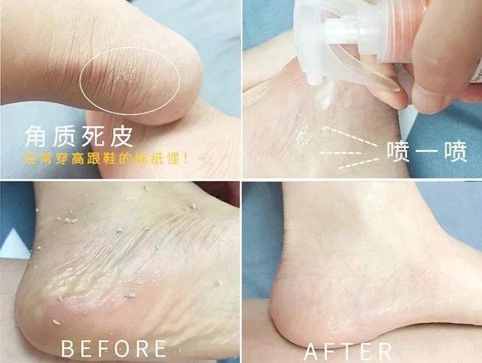 未来种植的金钱树揭秘最赚钱的作物