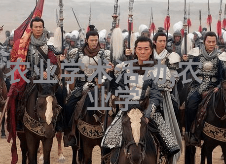 鄂州瓜中国传统水果鄂州市特产