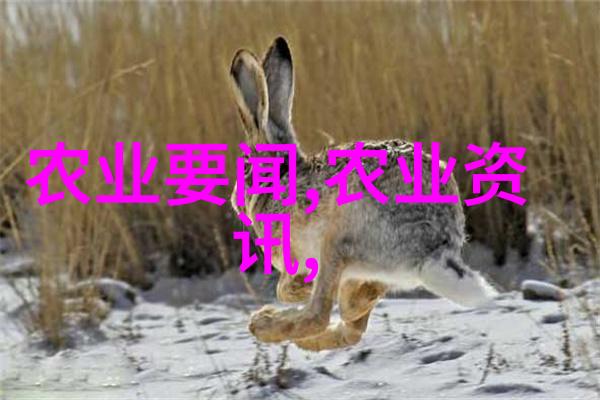 红美人 - 红颜佳人揭秘中国古代女性的生活与文化
