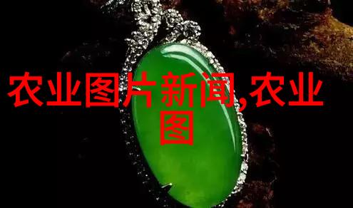 花海盛宴鲜艳色彩的商机大展