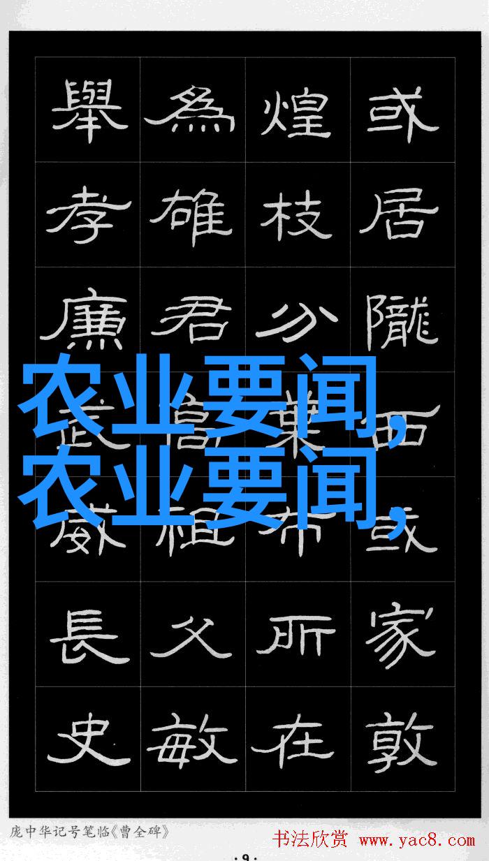 鲜活探秘色彩斑斓的果实世界