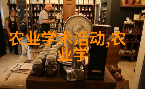 梦想之翼插翅难飞txt的故事