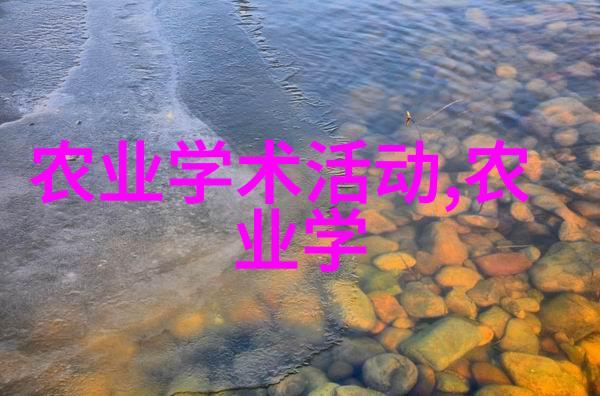 种子世界图画中的故事与名字的编织