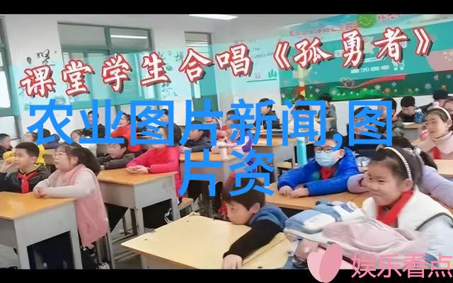 叶间秘笈茶韵守健