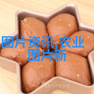 古代农耕技艺与种植学的智慧集成