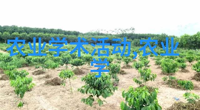 茶艺师的艺术世界深度探究茶文化与制作技巧