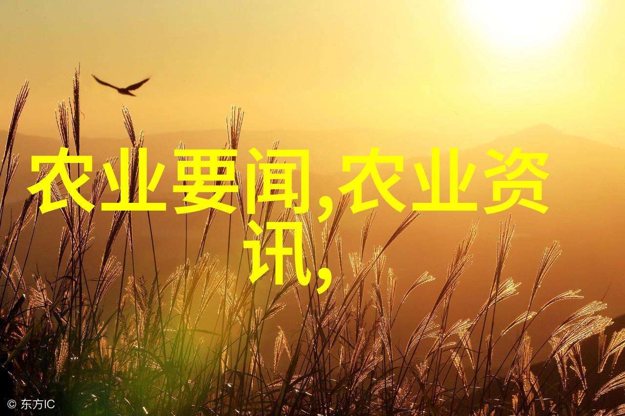 室内植物盆景十大排名 - 绿意盎然的室内美学探索最佳装饰植物选择