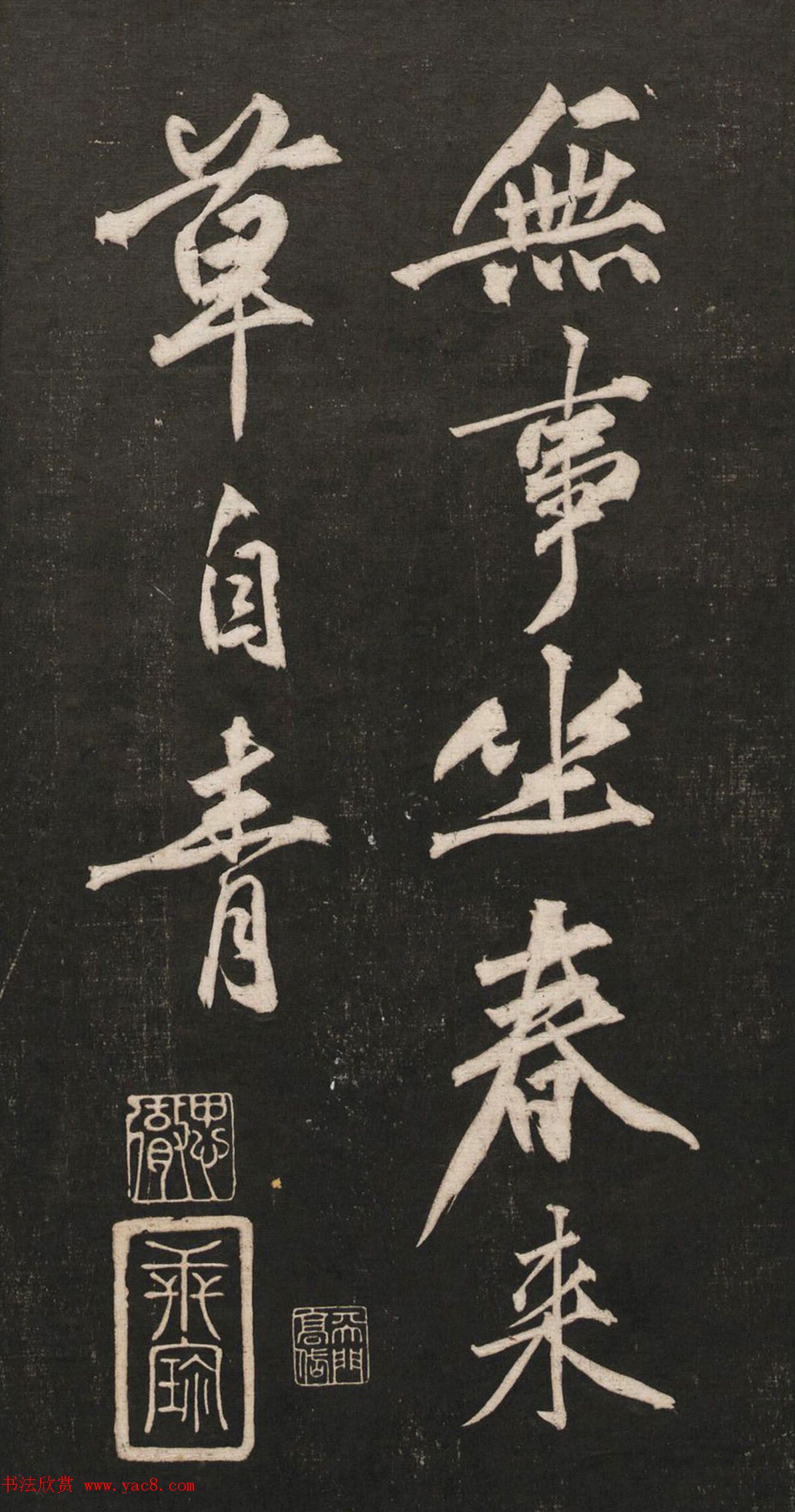 广西壮族自治区的竹叶青产地一场采摘旅行