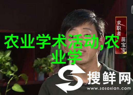 绿色生态蔬菜种植方法与技巧总结
