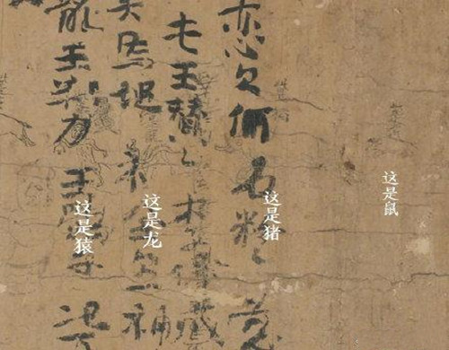 蔬菜种植技巧解析专业指导让您的绿意盎然梦想成真