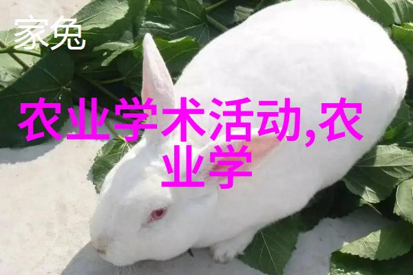 蔬菜新鲜事揭秘冬季常见蔬菜的养护技巧