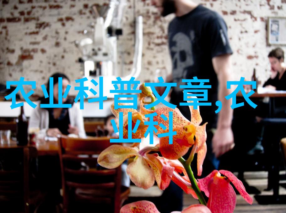 花卉艺术造型大师精美盆栽花卉设计技巧大全
