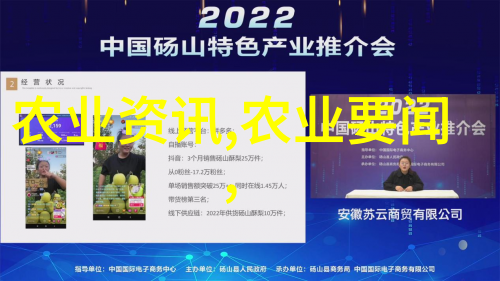果实盛宴寻找最迷人的甜品