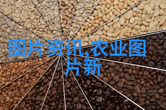蔬菜种植技术网让你的小花园变身绿意盎然的超市