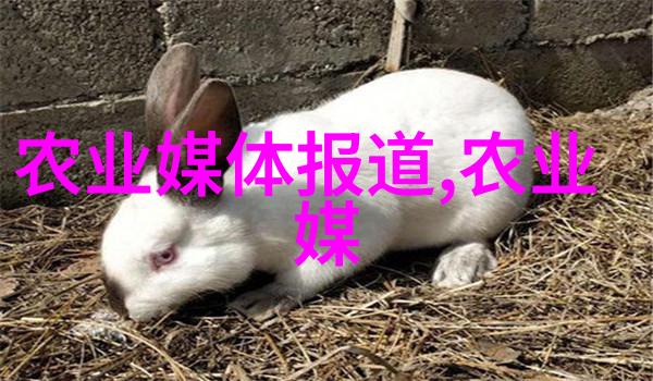 生态保护通过观看专题讲座理解并实践绿色可持续的养殖方式