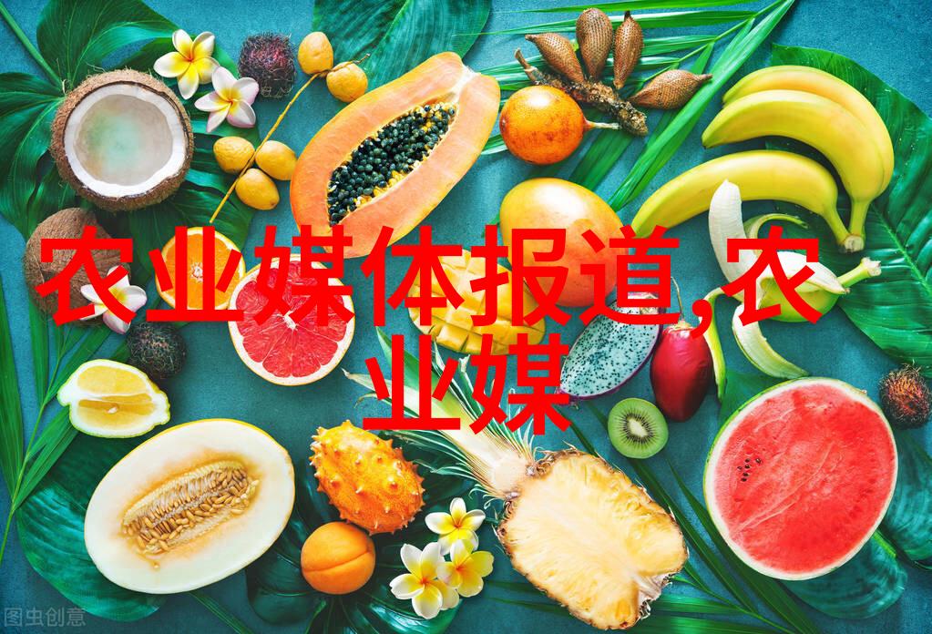 从田间到仓库如何运用智能控制系统优化稻谷烘干过程