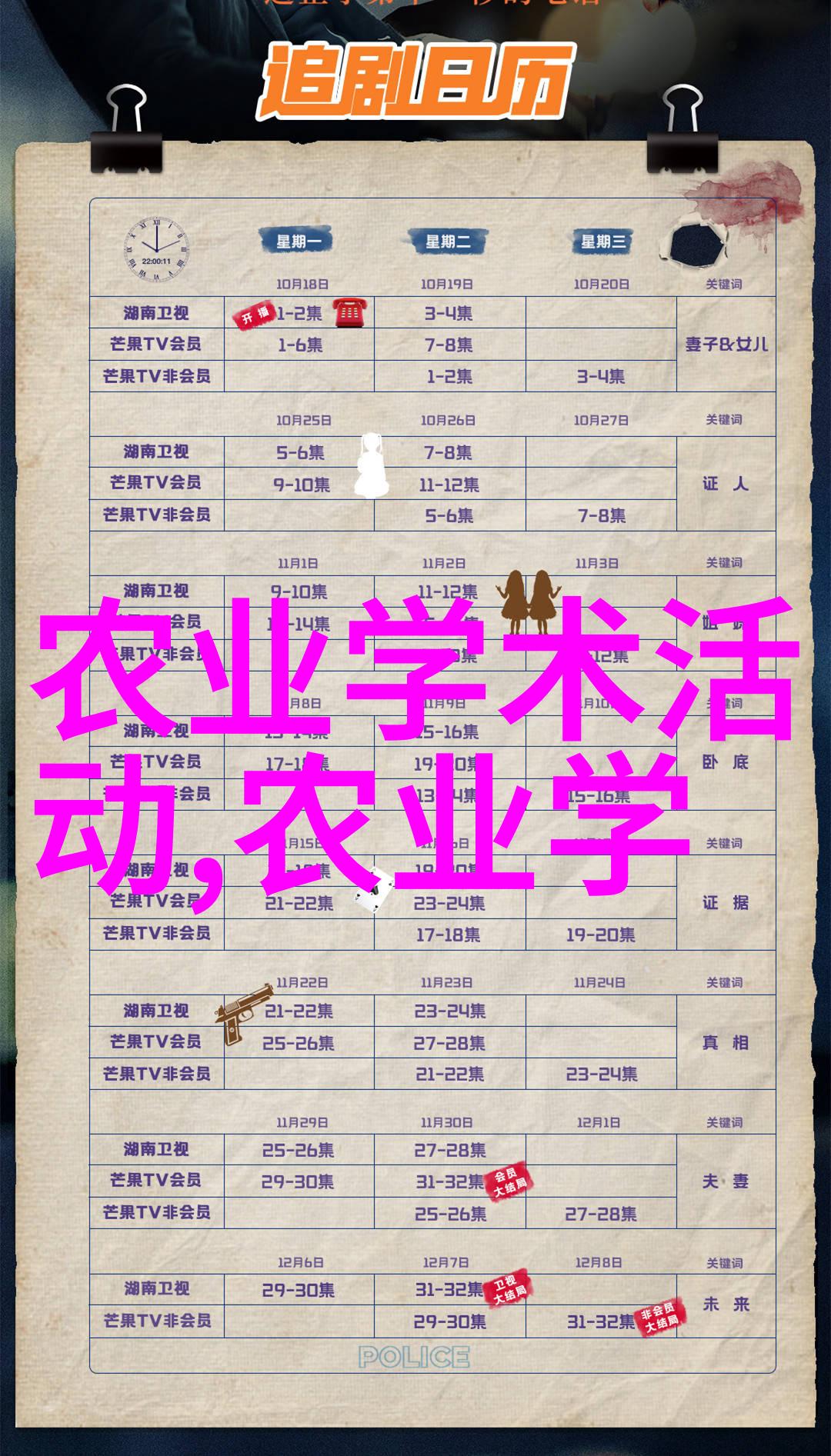 10年枫树一棵多少钱我来给你算算这棵树的人生价值