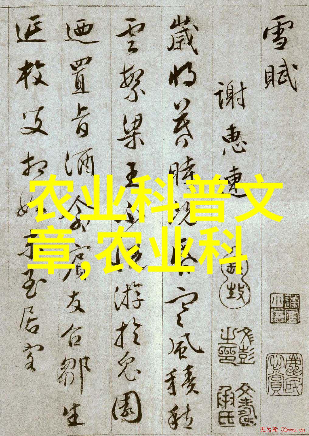 淑蓉又痒了我的妹妹淑蓉的不幸毛球