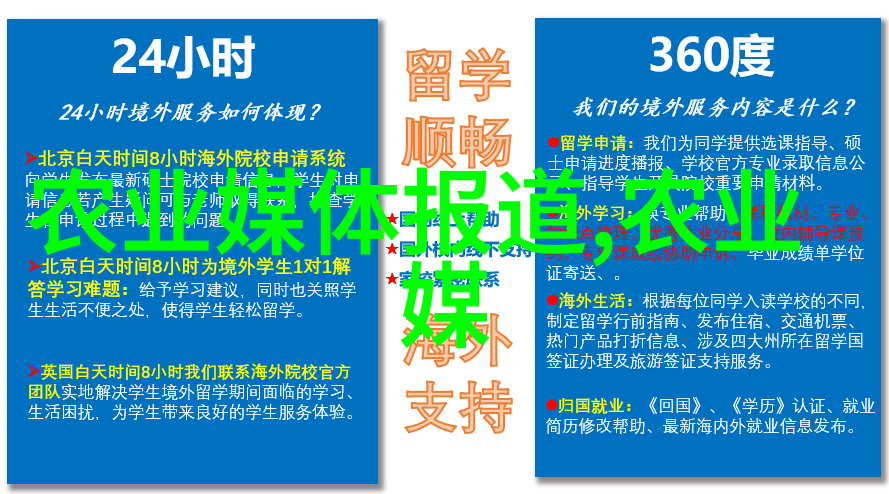 家庭客厅养什么花好 - 家庭温馨的绿意与色彩选择合适的室内植物