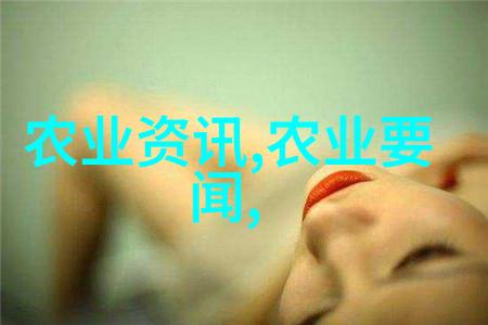绚烂人文艺术盛宴深度探究43417大制作主演阵容