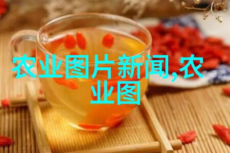 水果盛宴品味每一口的甜蜜与香醇