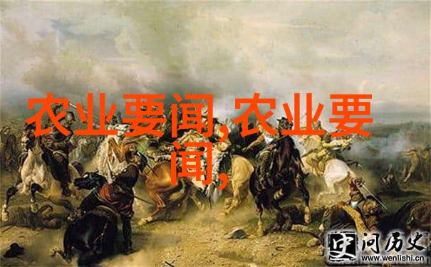 蜂部落怎样养蜂新技术视频揭秘