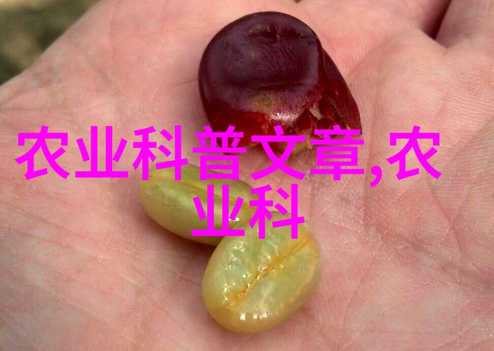 主题 - X7X7X7任意噪入口编码艺术与数字音乐的交响
