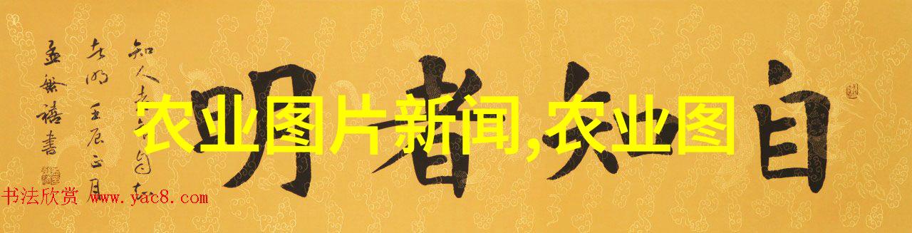 传统名茶的精华品味千古流传
