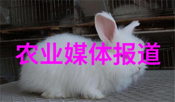 农业综合新闻_农业新闻2002_农业新闻2021