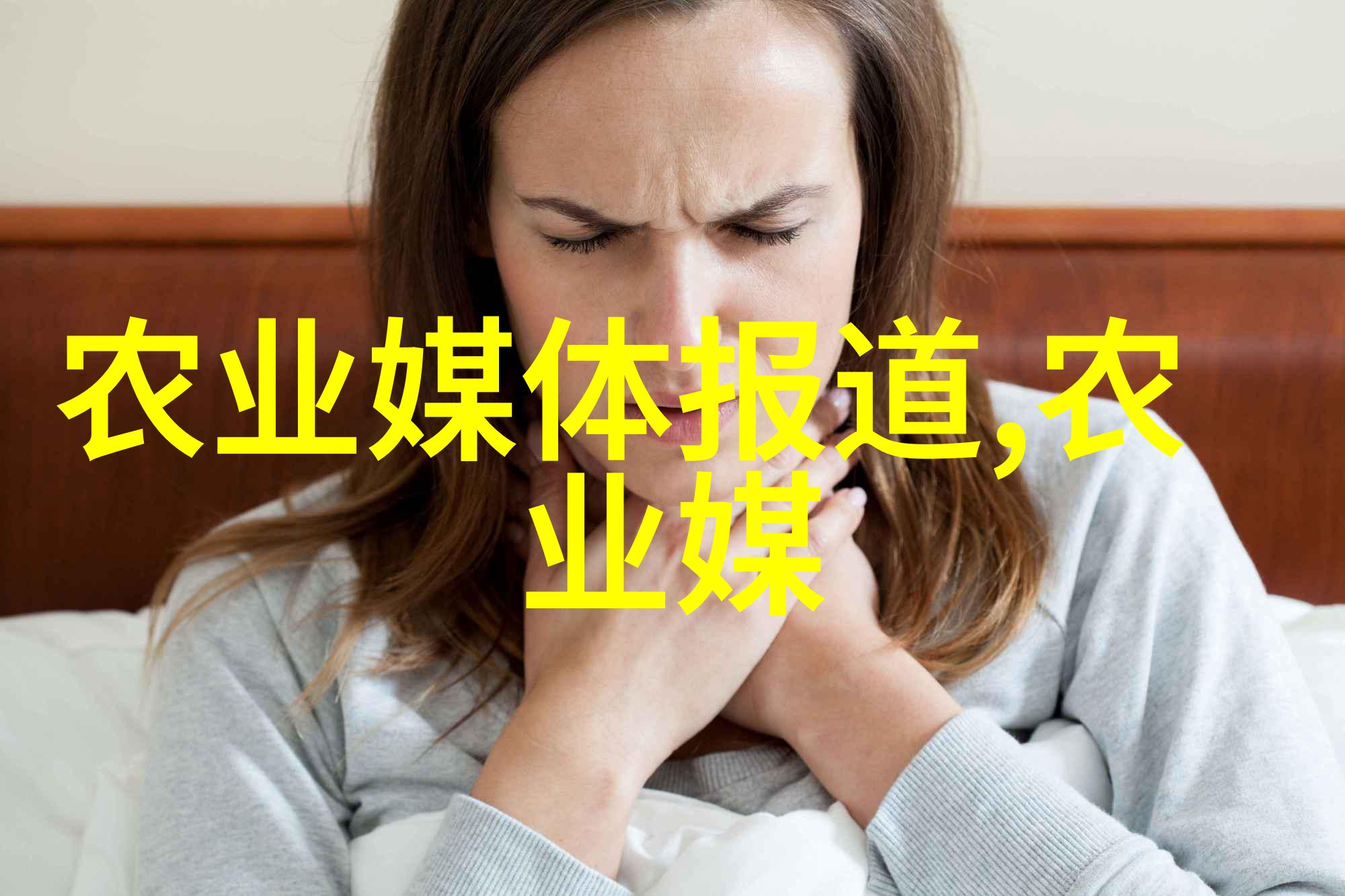 河南蔬菜之冠探秘大地上的绿色宝库
