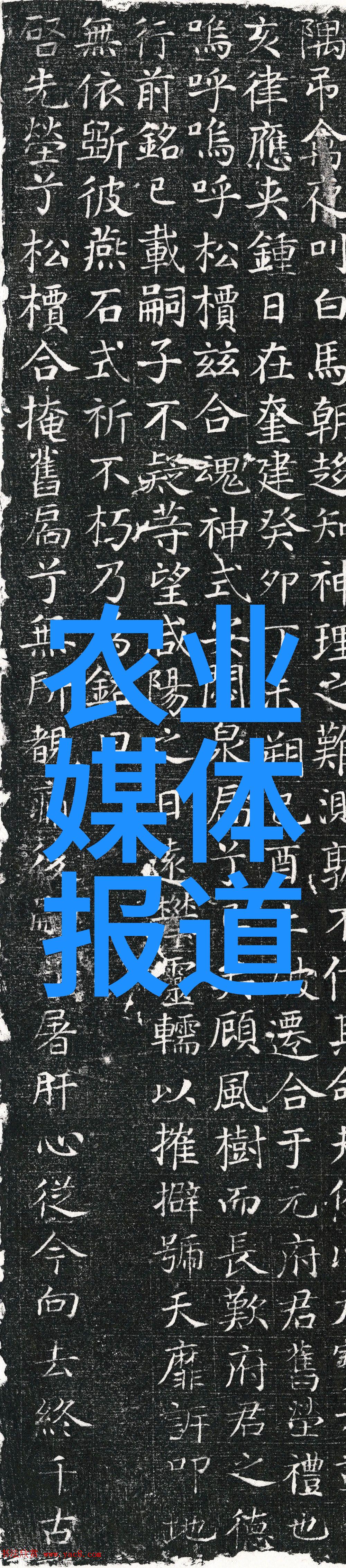 蔬菜商情网2022年蔬菜产地价格实时更新蔬菜最新价格信息农产品市场动态分析蔬菜种植区域对比