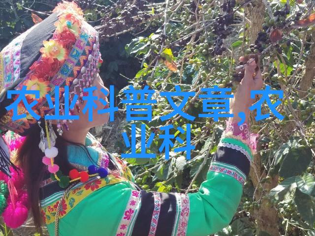 多肉大冒险揭秘1000种植物的超级力量