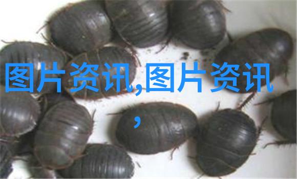 农村常见60种野生中草药 我的田野药箱从熟悉的山野寻觅健康良方