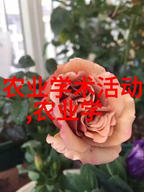 投资2.3万小生意避免鱼泛塘现象放养密度过大引发的自然问题