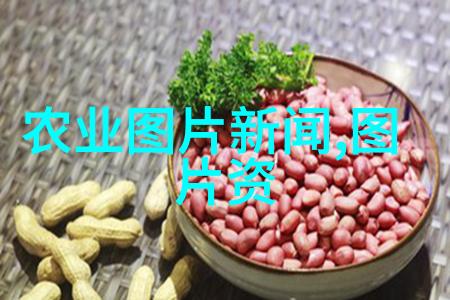 东北大学学术荟萃与创新精神的孕育地