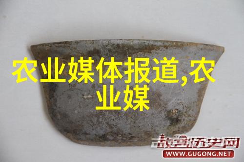 中国水果网品质保障直供新鲜果蔬