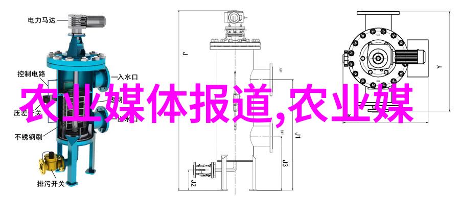 五角枫之韵10公分的色彩交响