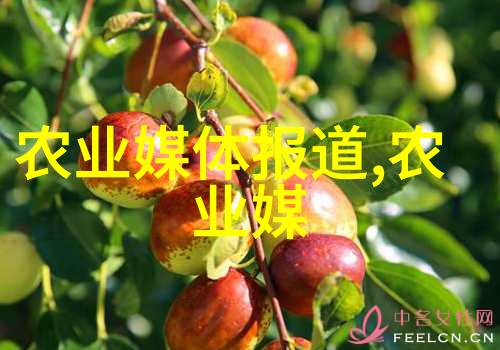 农村猪棚图片反映了什么样的农业发展水平