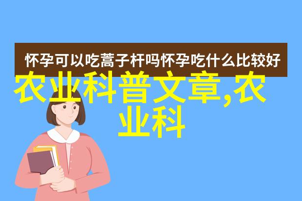 大型旋耕起垄施肥一体机技术革新智能农业机械化设备