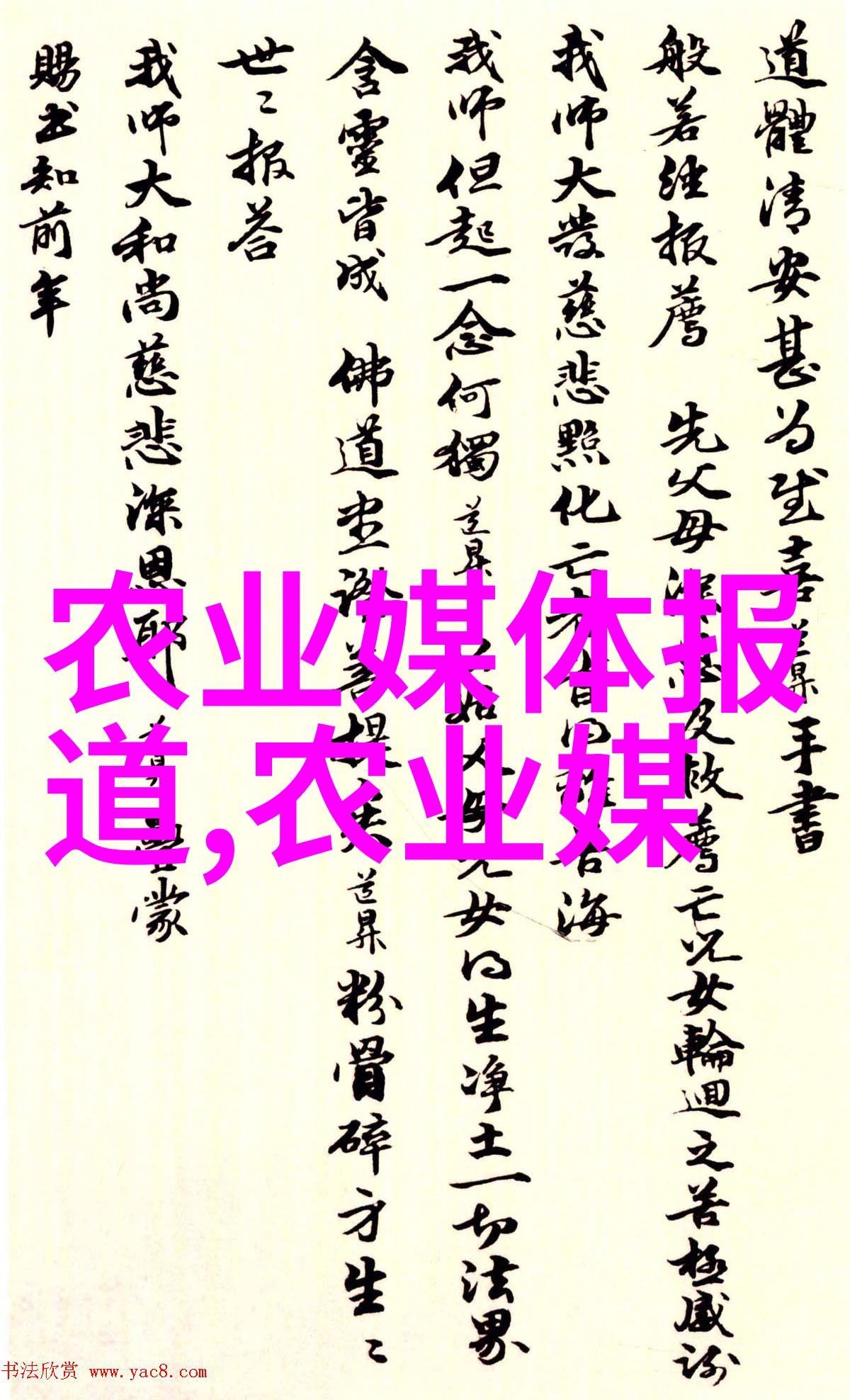 蛋鸡养殖技术我是如何把蛋鸡养得高产又健康的