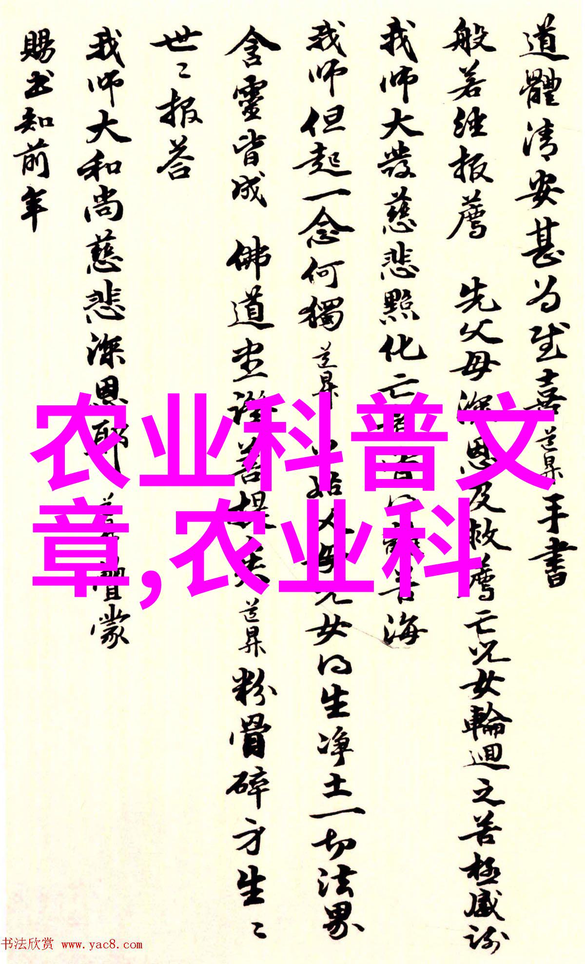茶花的秘密解开养茶花断子绝孙的谜团