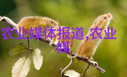 园艺新手的甜蜜选择那些简单种植的水果