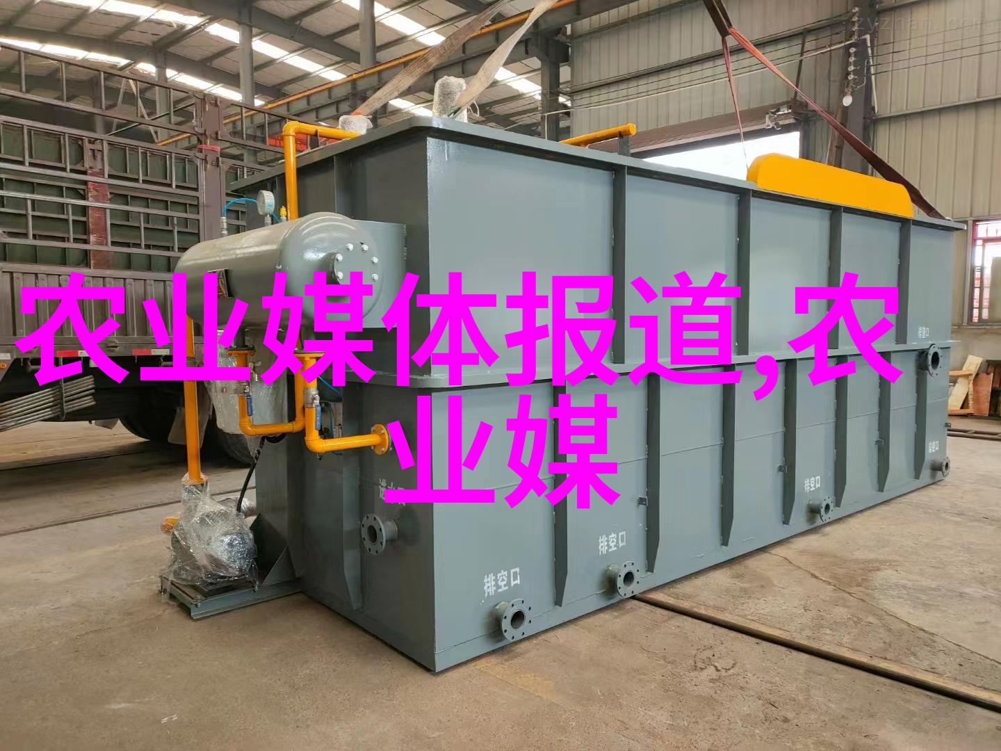 花园中的秘密探索百花之选