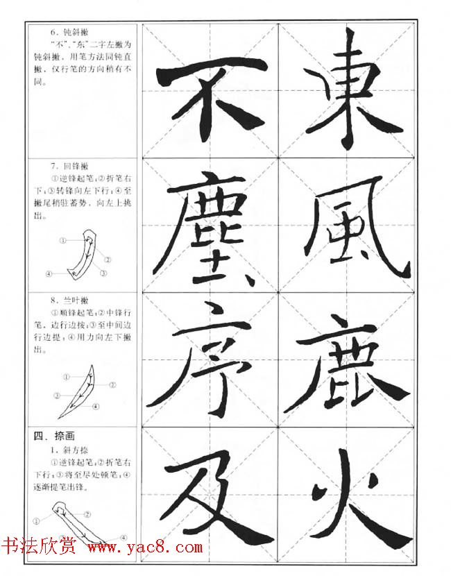 蜂箱操作技巧新手的首次捕捉蜂王体验