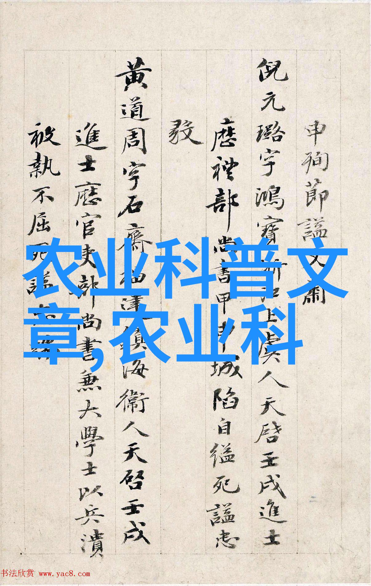 大型盆栽花卉图片欣赏与种植指南