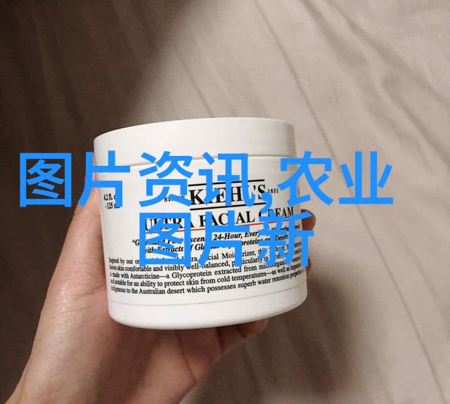 物权法的新篇章民法典对房地产所有权保护的深化